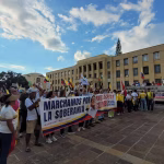 Intervendrán ‘minicarrascos’ que se encontraron en Bucaramanga